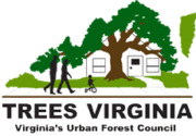Trees Virginia Commercial Forest Products Associations