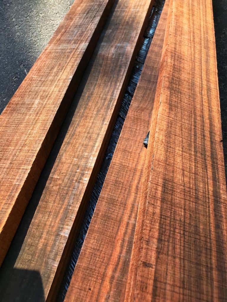 Macassar Ebony Commercial Forest Products