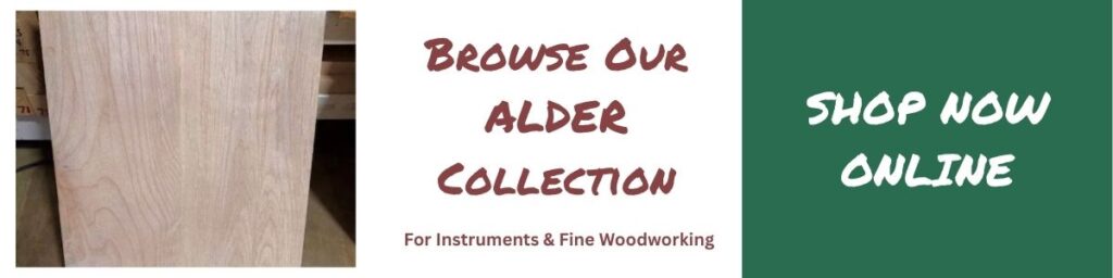 alder body blanks for sale