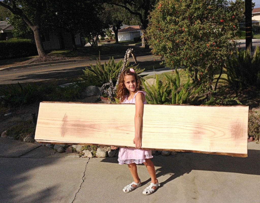 Sustainable hardwood Paulownia lumber held by child
